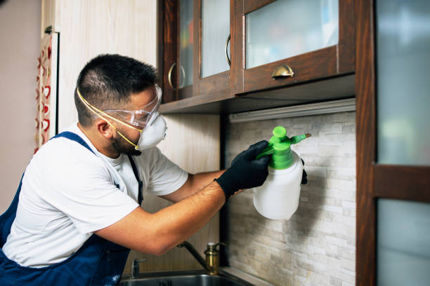 Best Exterminator Services  in Germantown, MD