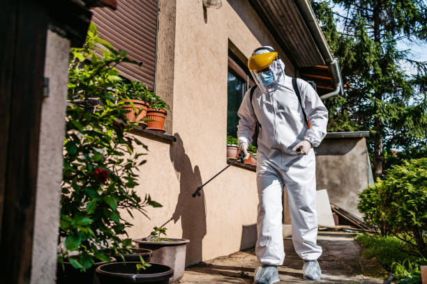 Insect Control in Germantown, MD