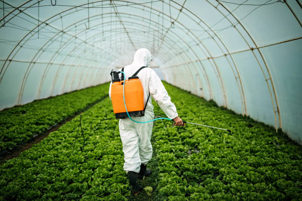 Best Pest Removal Services  in Germantown, MD