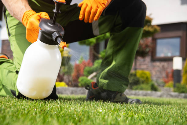Best Mosquito Control Services  in Germantown, MD
