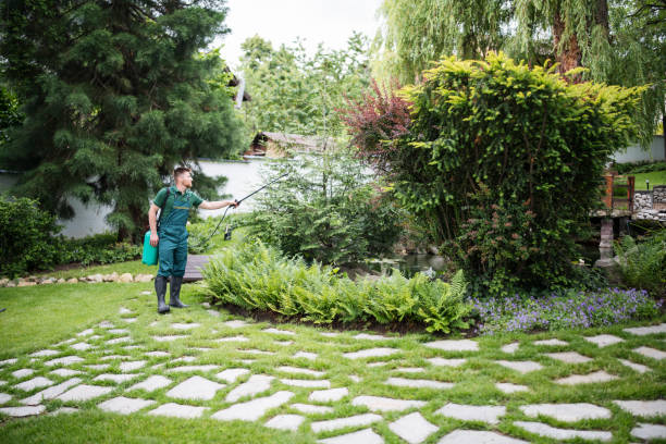 Best Affordable Pest Control Services  in Germantown, MD