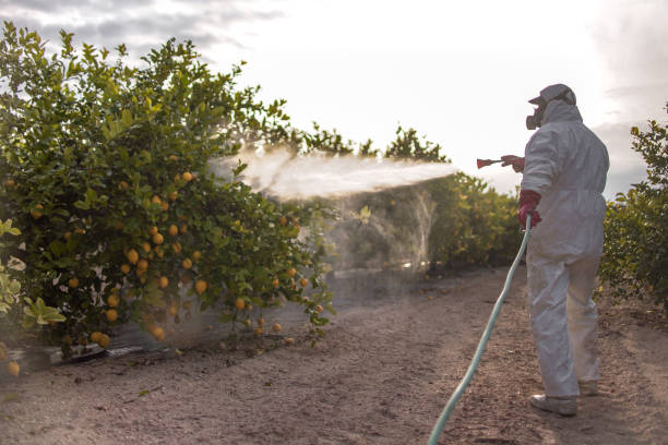 Best Best Pest Control Companies  in Germantown, MD
