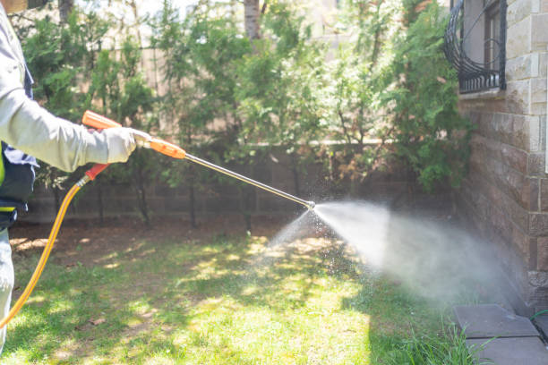 Bird Control in Germantown, MD