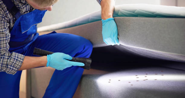 Best Ant Control Services  in Germantown, MD