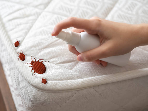 Best Mosquito Control Services  in Germantown, MD