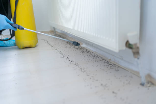 Wildlife Control Services in Germantown, MD