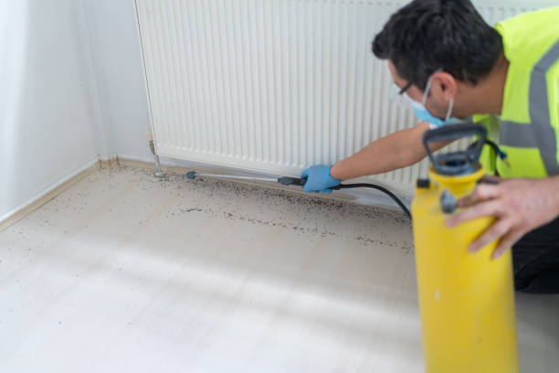 Best Pest Inspection Near Me  in Germantown, MD