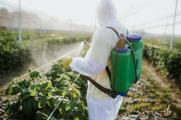 Best Emergency Pest Control  in Germantown, MD